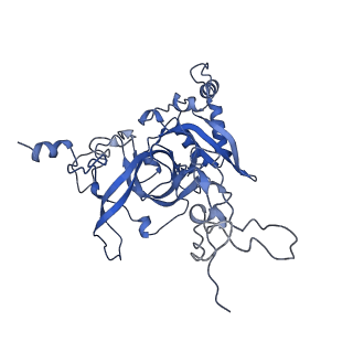 24412_8eug_B_v1-2
Ytm1 associated nascent 60S ribosome State 3