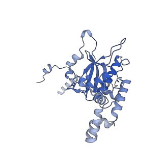 24412_8eug_D_v1-2
Ytm1 associated nascent 60S ribosome State 3