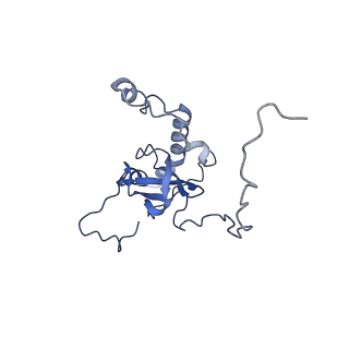 24412_8eug_E_v1-2
Ytm1 associated nascent 60S ribosome State 3