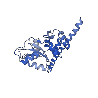 24412_8eug_F_v1-2
Ytm1 associated nascent 60S ribosome State 3