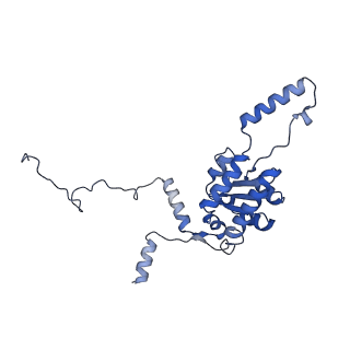 24412_8eug_G_v1-2
Ytm1 associated nascent 60S ribosome State 3