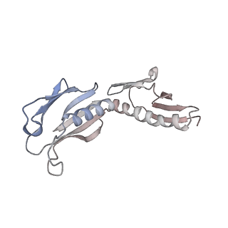 24412_8eug_H_v1-2
Ytm1 associated nascent 60S ribosome State 3