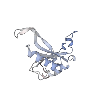 24412_8eug_J_v1-2
Ytm1 associated nascent 60S ribosome State 3