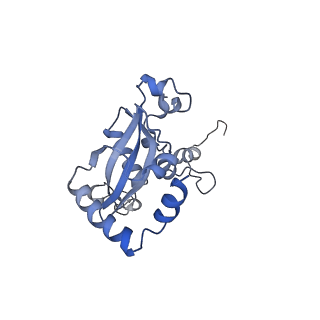 24412_8eug_N_v1-2
Ytm1 associated nascent 60S ribosome State 3