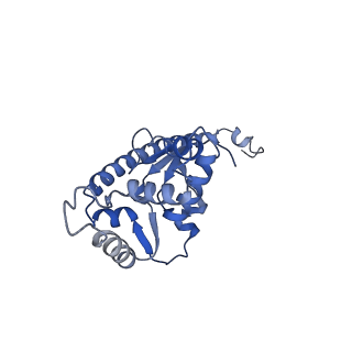 24412_8eug_O_v1-2
Ytm1 associated nascent 60S ribosome State 3