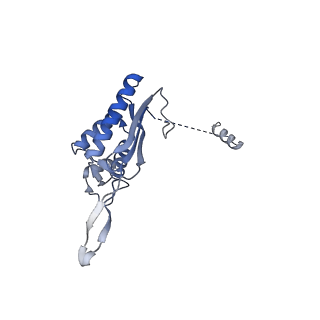 24412_8eug_P_v1-2
Ytm1 associated nascent 60S ribosome State 3