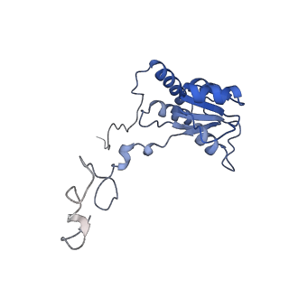 24412_8eug_Q_v1-2
Ytm1 associated nascent 60S ribosome State 3