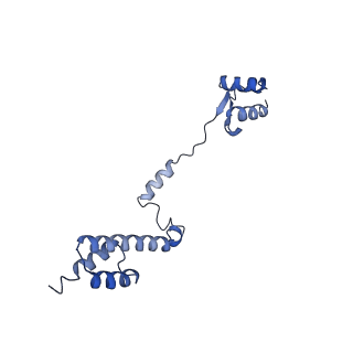 24412_8eug_R_v1-2
Ytm1 associated nascent 60S ribosome State 3