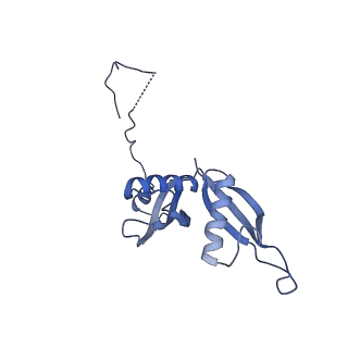 24412_8eug_S_v1-2
Ytm1 associated nascent 60S ribosome State 3