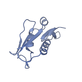 24412_8eug_U_v1-2
Ytm1 associated nascent 60S ribosome State 3