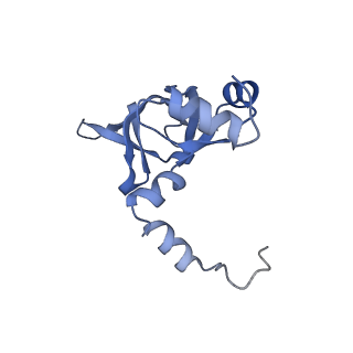 24412_8eug_Y_v1-2
Ytm1 associated nascent 60S ribosome State 3