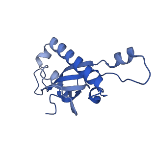 24412_8eug_Z_v1-2
Ytm1 associated nascent 60S ribosome State 3