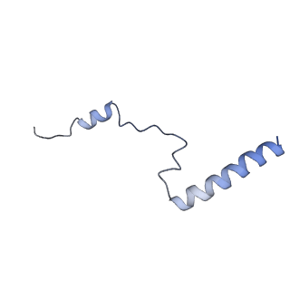 24412_8eug_b_v1-2
Ytm1 associated nascent 60S ribosome State 3