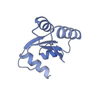 24412_8eug_c_v1-2
Ytm1 associated nascent 60S ribosome State 3