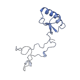 24412_8eug_e_v1-2
Ytm1 associated nascent 60S ribosome State 3