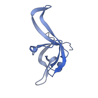 24412_8eug_f_v1-2
Ytm1 associated nascent 60S ribosome State 3