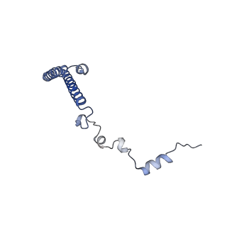 24412_8eug_h_v1-2
Ytm1 associated nascent 60S ribosome State 3