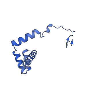 24412_8eug_i_v1-2
Ytm1 associated nascent 60S ribosome State 3