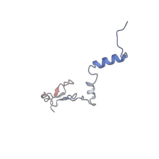 24412_8eug_j_v1-2
Ytm1 associated nascent 60S ribosome State 3
