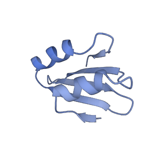 24412_8eug_k_v1-2
Ytm1 associated nascent 60S ribosome State 3
