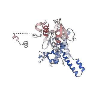 24412_8eug_n_v1-2
Ytm1 associated nascent 60S ribosome State 3