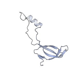 24412_8eug_o_v1-2
Ytm1 associated nascent 60S ribosome State 3