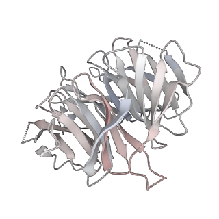 24412_8eug_p_v1-2
Ytm1 associated nascent 60S ribosome State 3