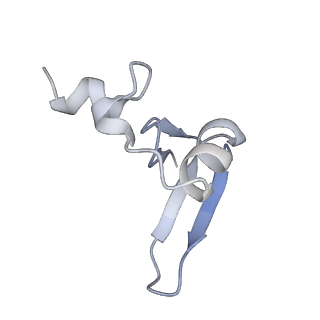 24412_8eug_u_v1-2
Ytm1 associated nascent 60S ribosome State 3