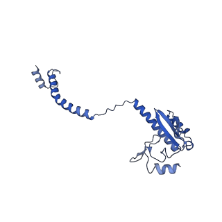 24420_8euy_3_v1-2
Ytm1 associated nascent 60S ribosome (-fkbp39) State 1A