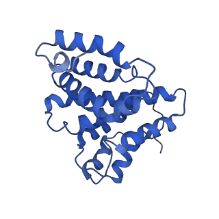 24420_8euy_4_v1-2
Ytm1 associated nascent 60S ribosome (-fkbp39) State 1A