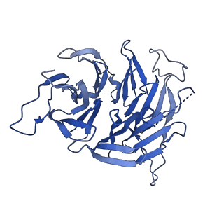 24420_8euy_5_v1-2
Ytm1 associated nascent 60S ribosome (-fkbp39) State 1A