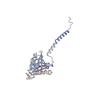 24420_8euy_A_v1-2
Ytm1 associated nascent 60S ribosome (-fkbp39) State 1A