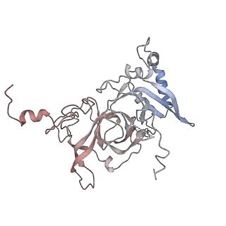24420_8euy_B_v1-2
Ytm1 associated nascent 60S ribosome (-fkbp39) State 1A