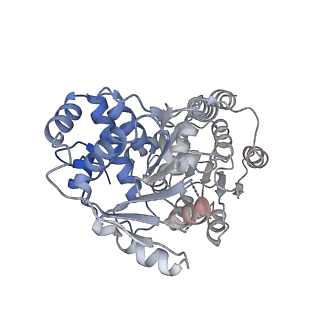 24420_8euy_D_v1-2
Ytm1 associated nascent 60S ribosome (-fkbp39) State 1A