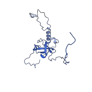 24420_8euy_E_v1-2
Ytm1 associated nascent 60S ribosome (-fkbp39) State 1A