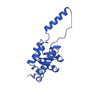 24420_8euy_G_v1-2
Ytm1 associated nascent 60S ribosome (-fkbp39) State 1A
