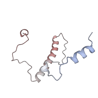 24420_8euy_J_v1-2
Ytm1 associated nascent 60S ribosome (-fkbp39) State 1A