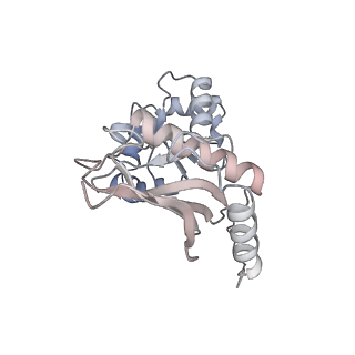 24420_8euy_K_v1-2
Ytm1 associated nascent 60S ribosome (-fkbp39) State 1A