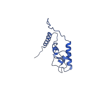 24420_8euy_L_v1-2
Ytm1 associated nascent 60S ribosome (-fkbp39) State 1A