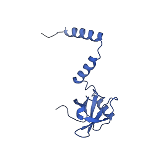 24420_8euy_M_v1-2
Ytm1 associated nascent 60S ribosome (-fkbp39) State 1A