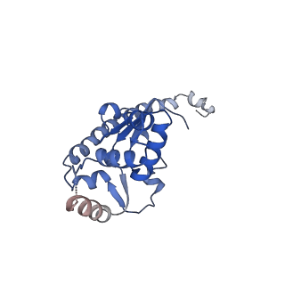 24420_8euy_O_v1-2
Ytm1 associated nascent 60S ribosome (-fkbp39) State 1A