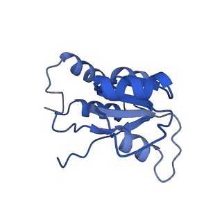 24420_8euy_Q_v1-2
Ytm1 associated nascent 60S ribosome (-fkbp39) State 1A