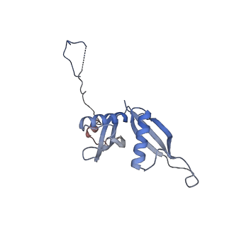 24420_8euy_S_v1-2
Ytm1 associated nascent 60S ribosome (-fkbp39) State 1A
