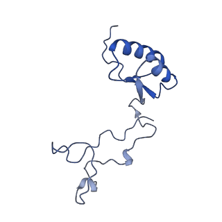 24420_8euy_e_v1-2
Ytm1 associated nascent 60S ribosome (-fkbp39) State 1A