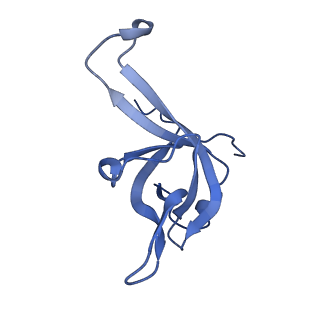 24420_8euy_f_v1-2
Ytm1 associated nascent 60S ribosome (-fkbp39) State 1A
