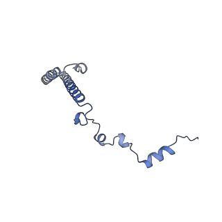 24420_8euy_h_v1-2
Ytm1 associated nascent 60S ribosome (-fkbp39) State 1A