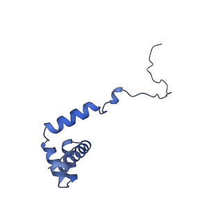 24420_8euy_i_v1-2
Ytm1 associated nascent 60S ribosome (-fkbp39) State 1A
