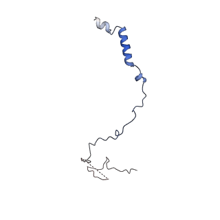 24420_8euy_m_v1-2
Ytm1 associated nascent 60S ribosome (-fkbp39) State 1A
