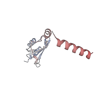 24420_8euy_o_v1-2
Ytm1 associated nascent 60S ribosome (-fkbp39) State 1A