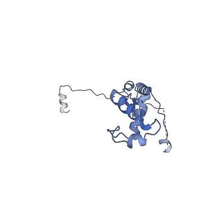 24420_8euy_v_v1-2
Ytm1 associated nascent 60S ribosome (-fkbp39) State 1A